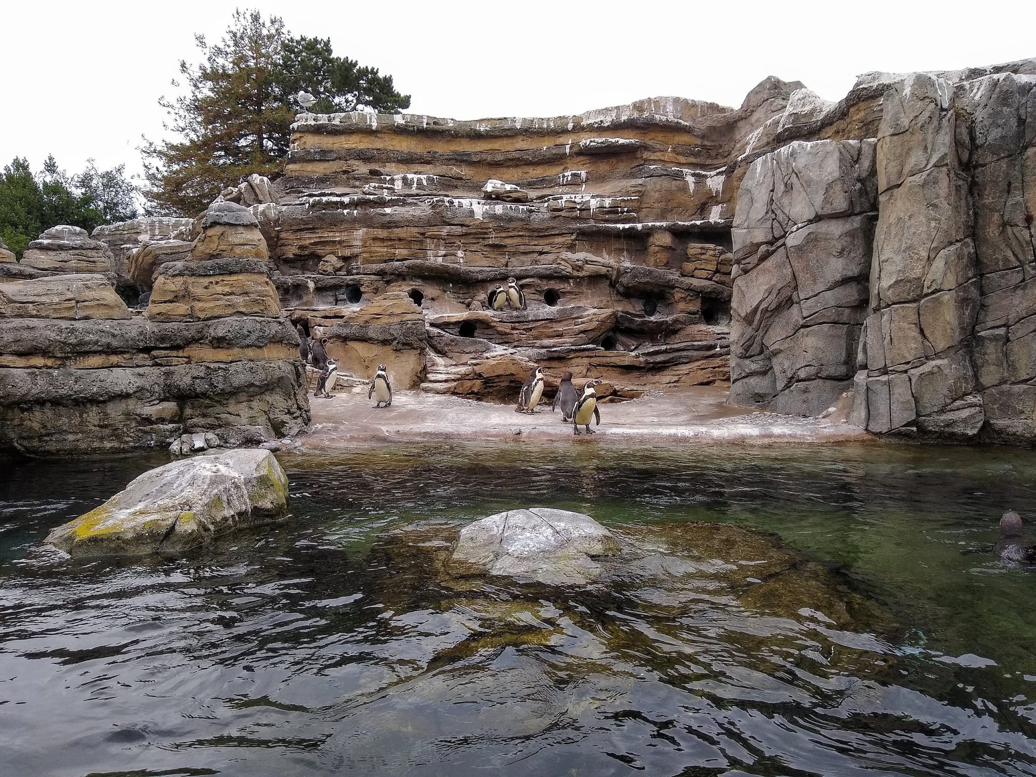 Search Homes For Sale In Kingsgate, WA