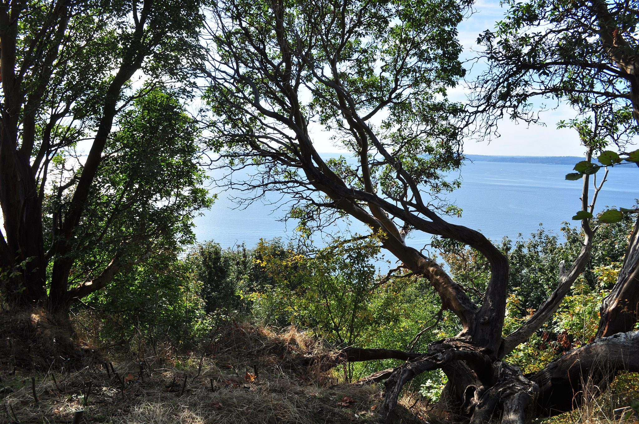 Search Homes For Sale In Kingsgate, WA